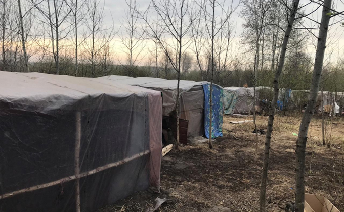 Полиция «накрыла» лагерь нелегальных мигрантов в лесу у города Обь